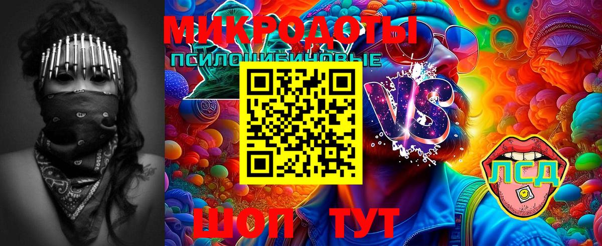 Галлюциногенные грибы Cubensis  Вход с VPN  Карпинск  Галлюциногенные грибы мухоморы 